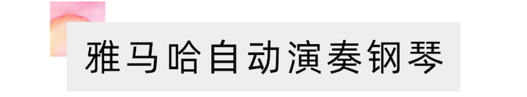 活动报道 | “科技助力，跨越时空”，小鹿纯子携手刘明康共享中日音乐盛宴